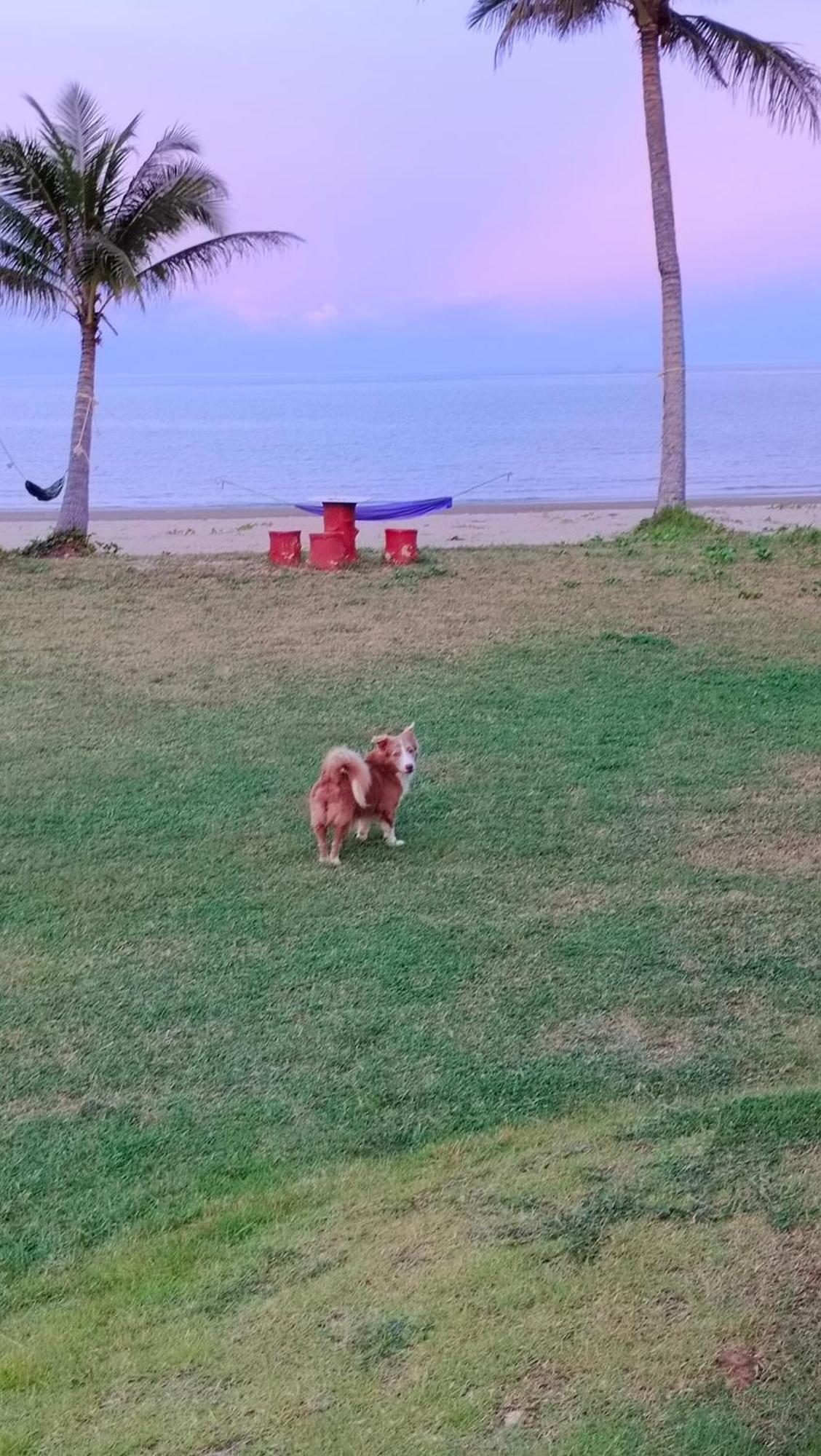 Baan Be Beach Lang Suan Exteriér fotografie